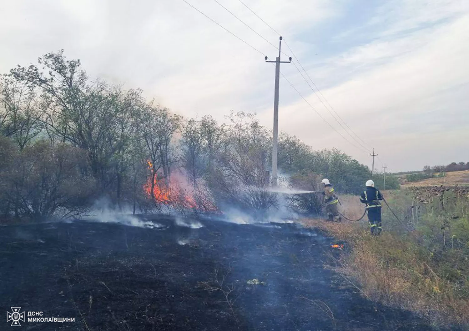 Пожар в Николаевской области. Фото: ГСЧС Николаевской области