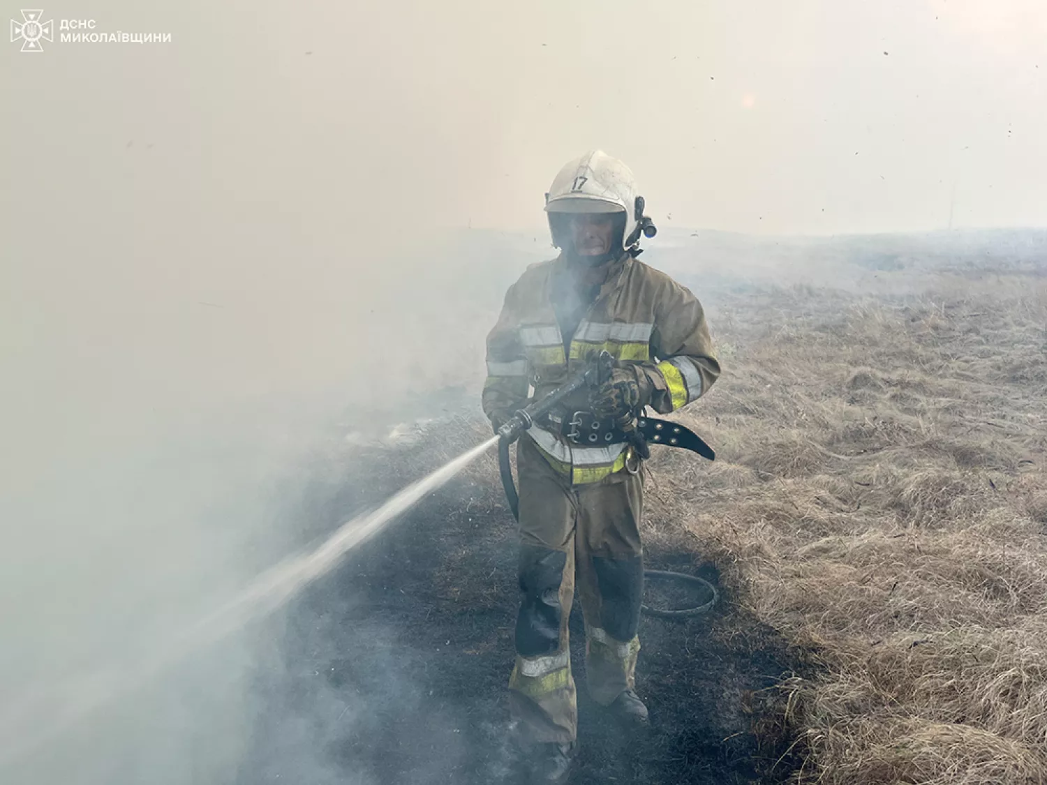 Пожежі у Миколаївській області. Фото: ДСНС Миколаївщини