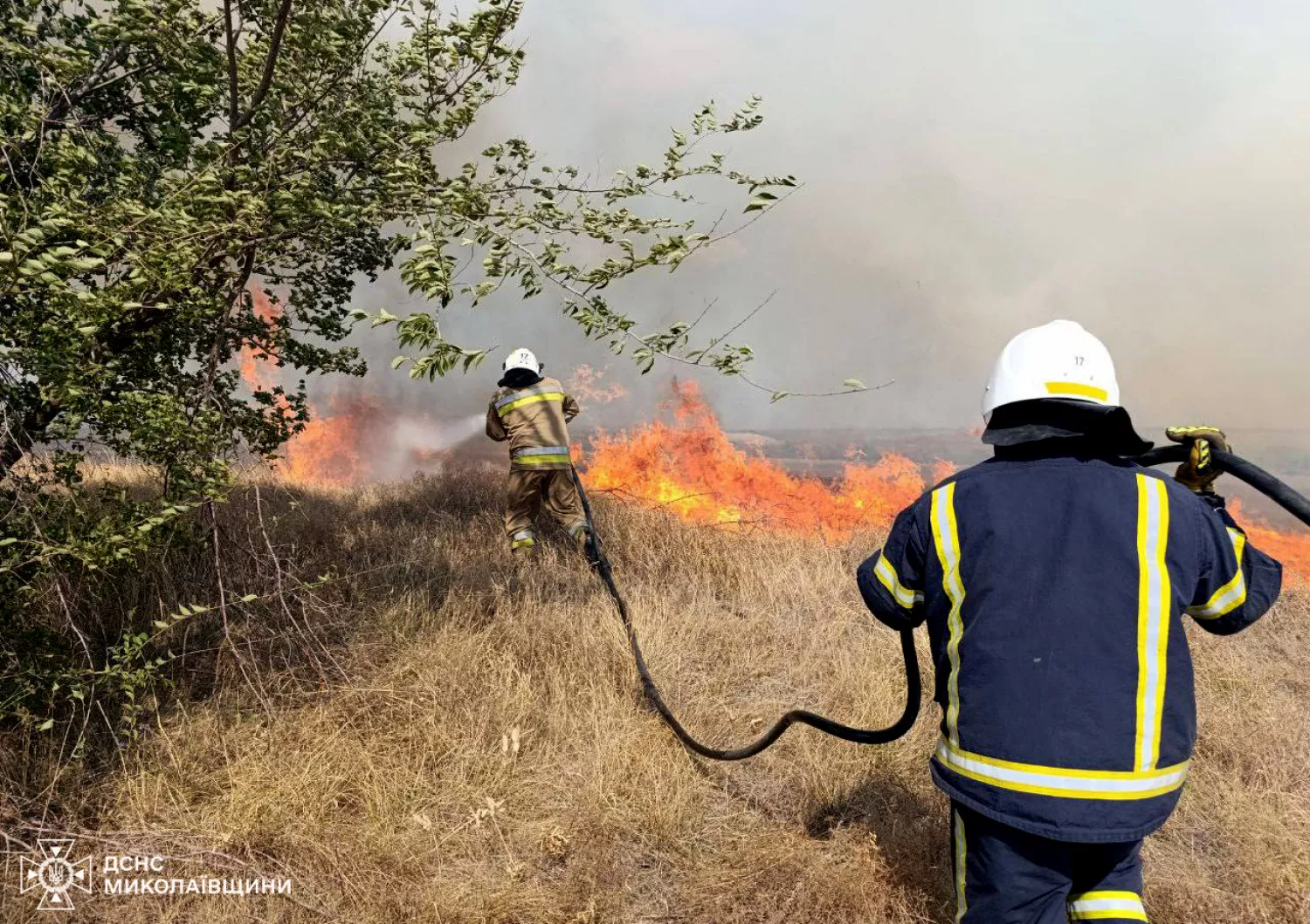 Пожежі у Миколаївській області. Фото: ДСНС Миколаївщини