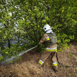 Пожежі в Миколаївській області 1 серпня, фото ДСНС Миколаївщини