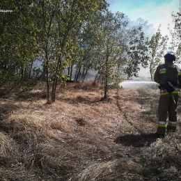 Пожежі в Миколаївській області 1 серпня, фото ДСНС Миколаївщини