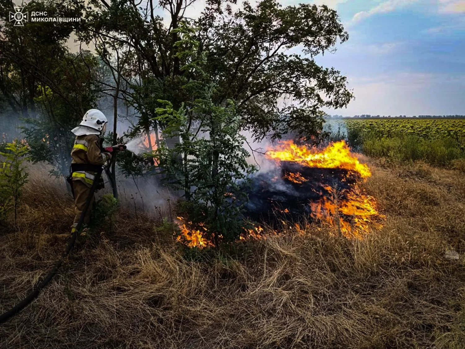 Пожежі в Миколаївській області 1 серпня, фото ДСНС Миколаївщини