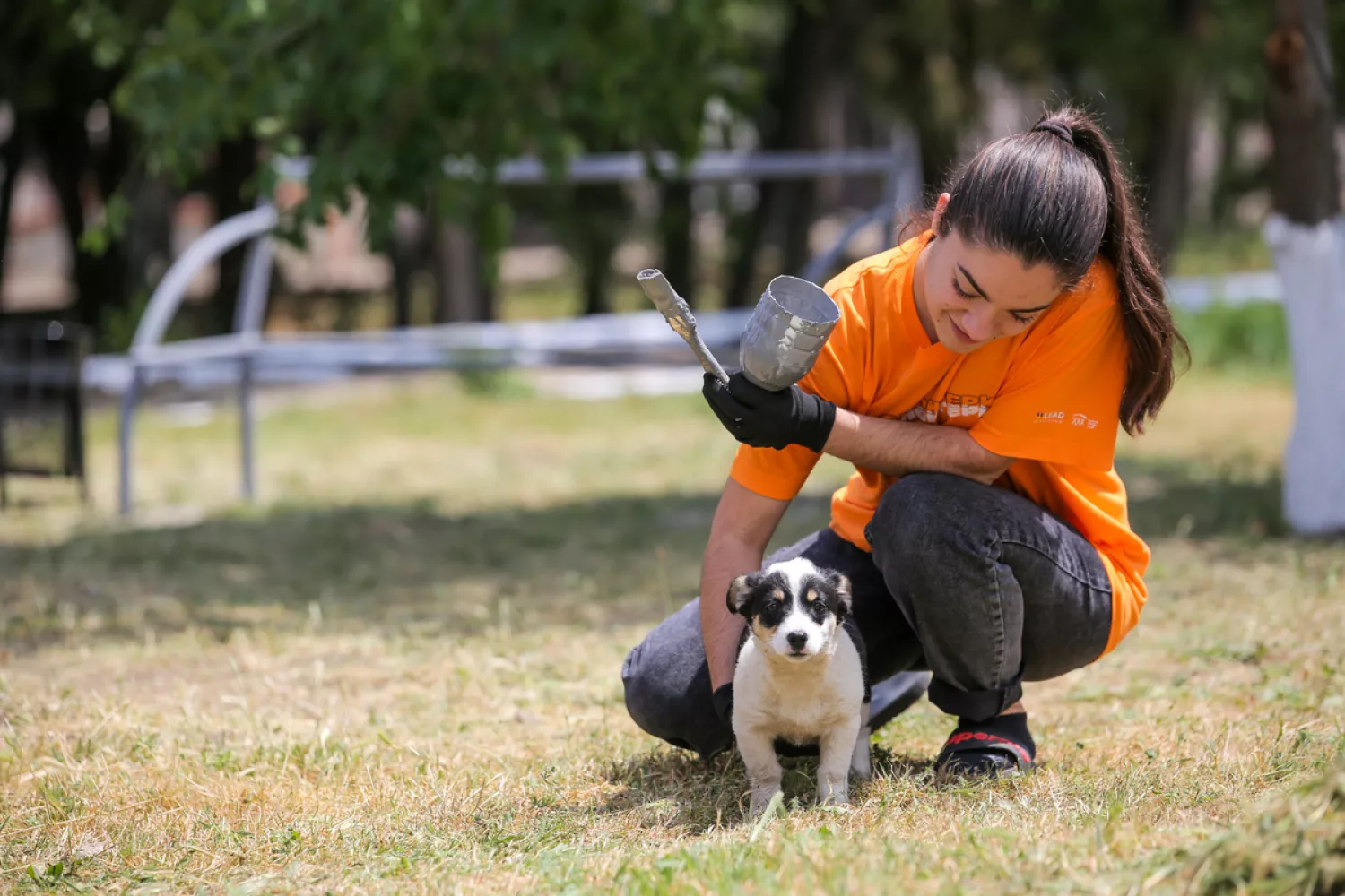 У громадах з’явилися pet-friendly простори. Фото: «U-LEAD з Європою»