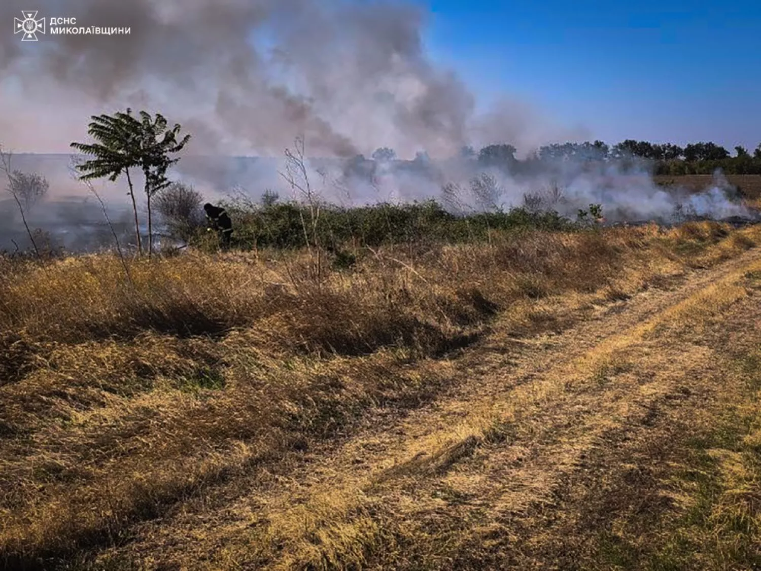 Consequences of the fires in the Mykolaiv region on September 21. Photo: DSNS