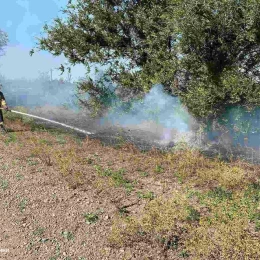 Пожары в Николаевской области, фото ГСЧС Николаевской области