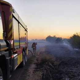 Пожары в Николаевской области, фото ГСЧС Николаевской области