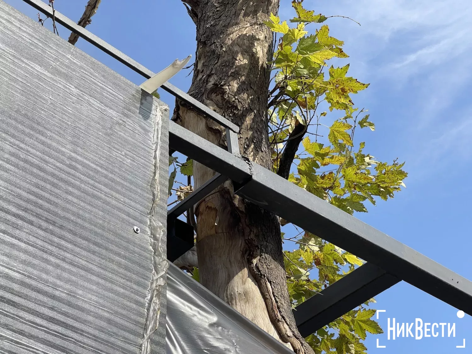 У Миколаєві призупинили будівництво кіосків, де тиждень тому вирубали платани. Фото: «МикВісті»