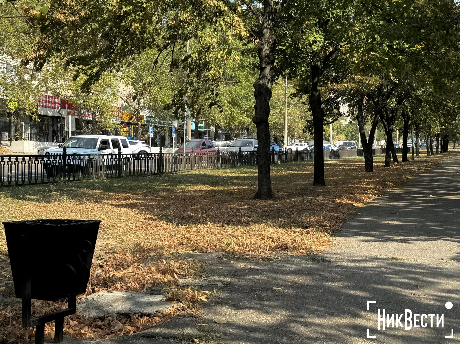 В КП «Николаевские парки» рассказали, когда вернут скамейки на Центральный проспект. Фото «НикВести»