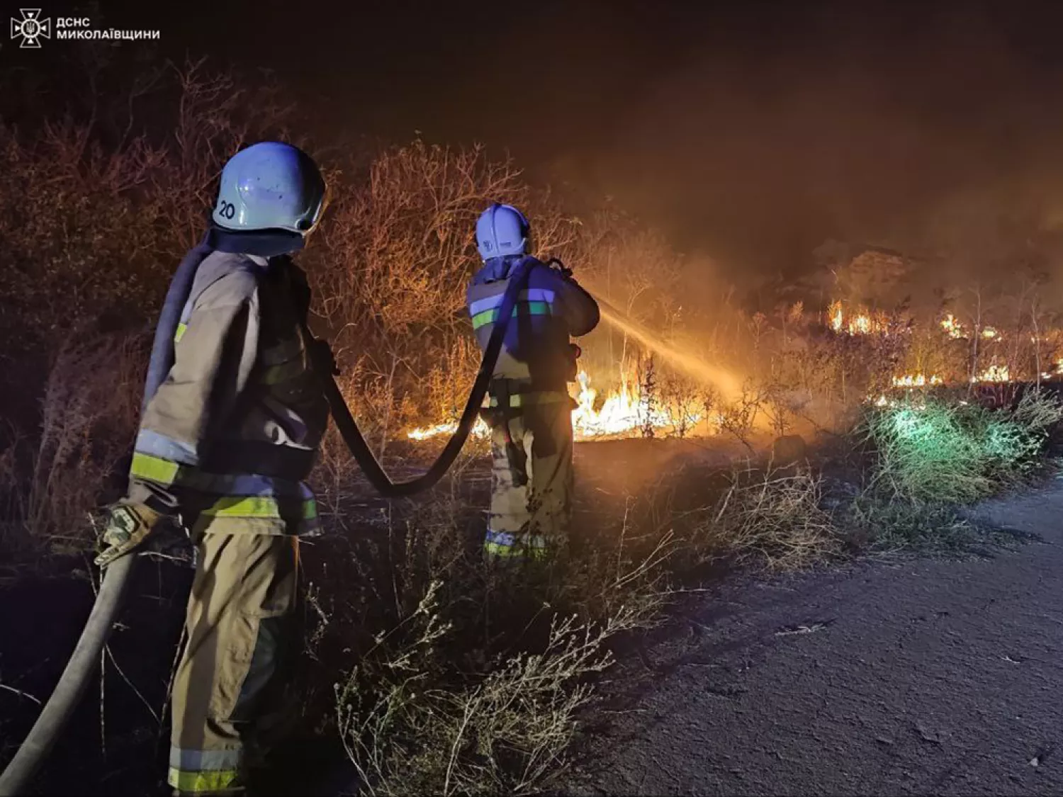 Пожары в Николаевской области. Фото: ГСЧС Николаевской области