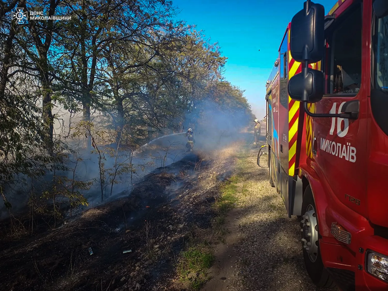 Миколаївські рятувальники гасять пожежу, фото: ДСНС Миколаївщини