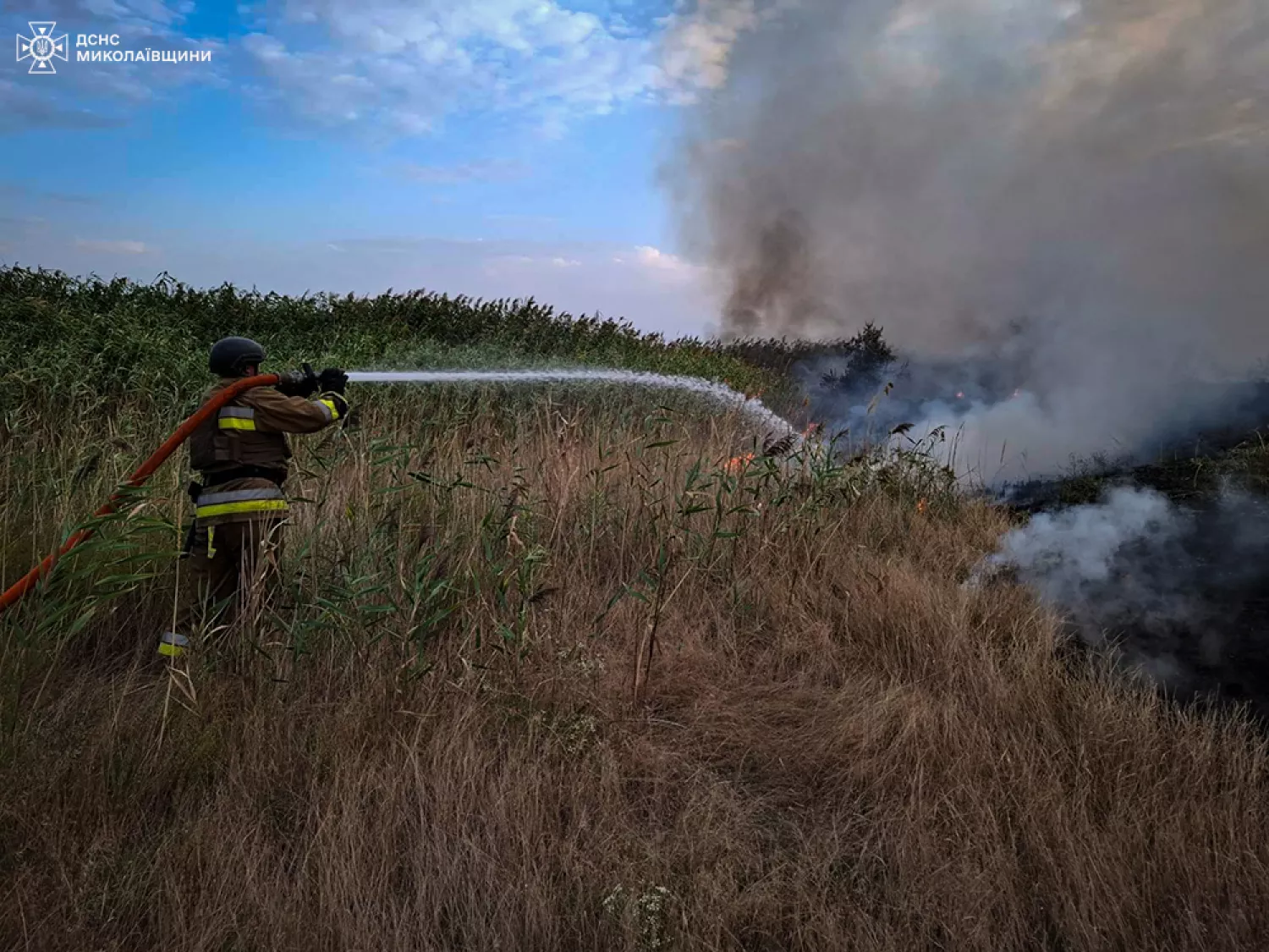 Пожежі у Миколаївській області 2-3 вересня. Фото: ДСНС Миколаївщини