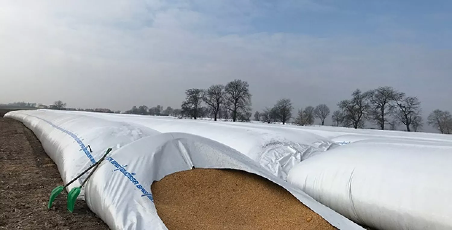 Sleeves for grain storage, photo: illustrative from open sources