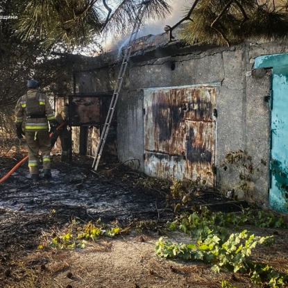 Пожежа гаражів в Очакові 3 вересня, фото: ДСНС Миколаївщини