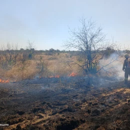 Пожежі у Миколаївській області 7-8 вересня, фото: ДСНС Миколаївщини