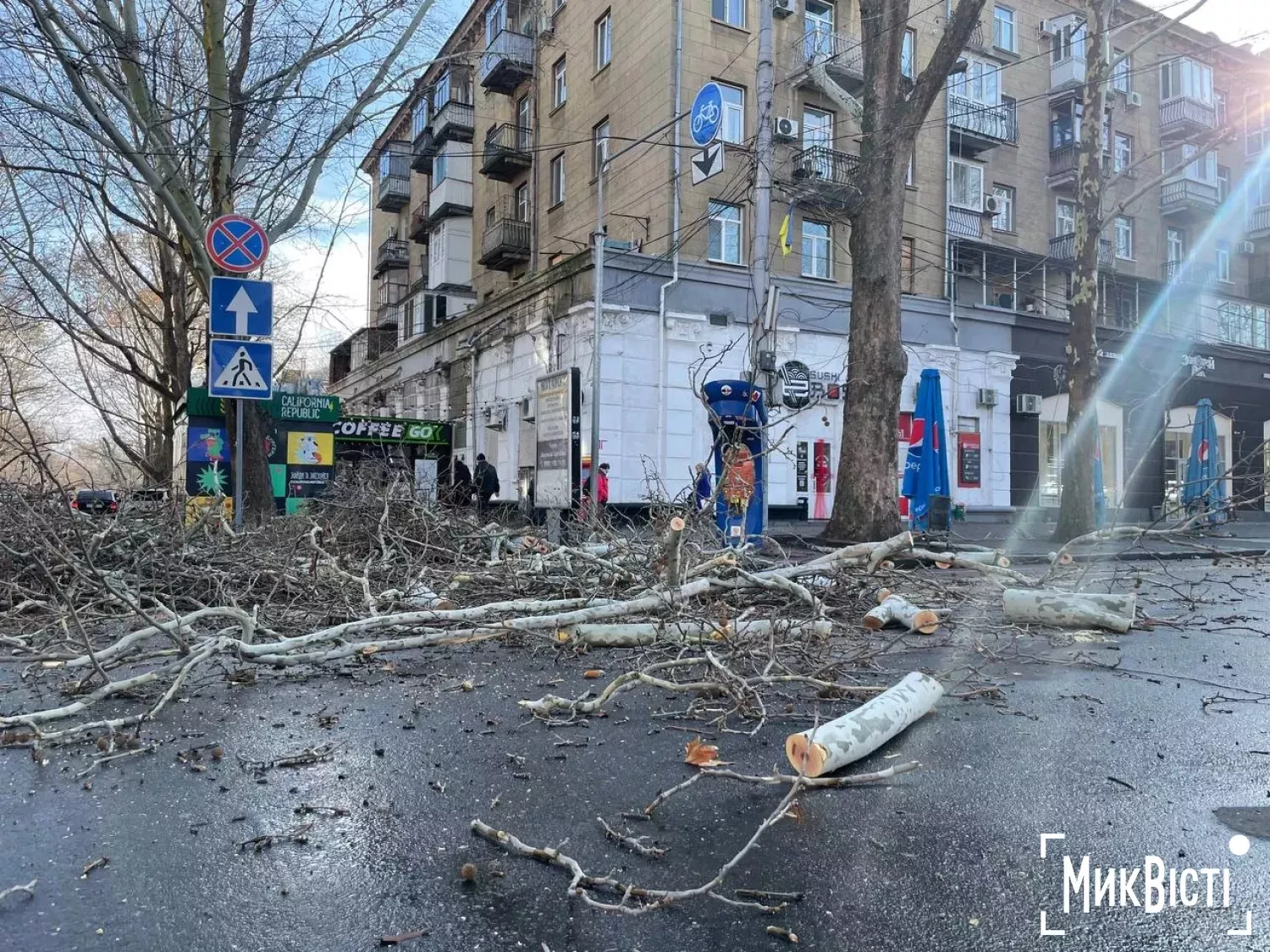 Обрізка платанів на Соборній у Миколаєві. Фото «МикВісті»