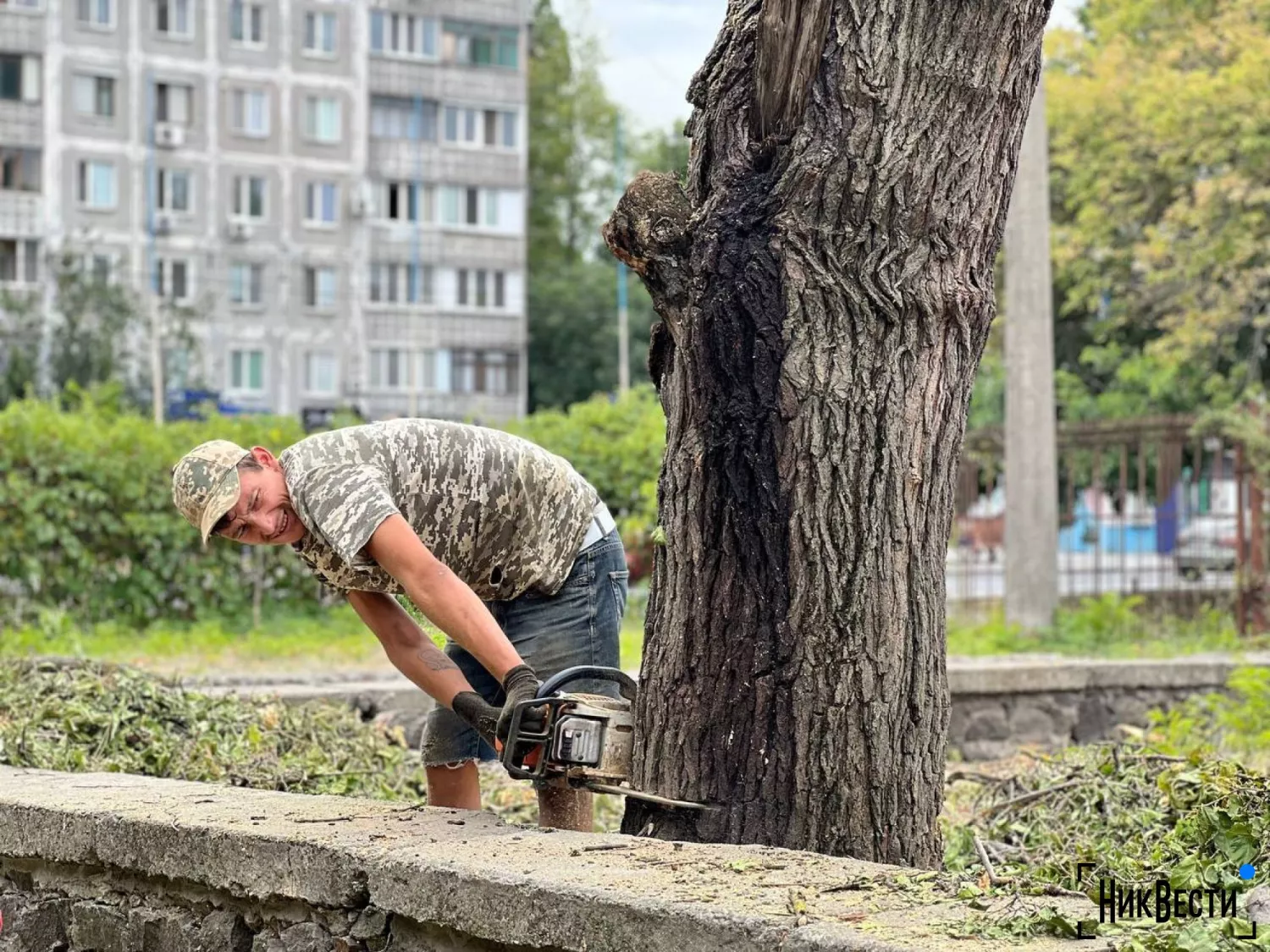 Знесення дерев у Миколаєві. Архівне фото 