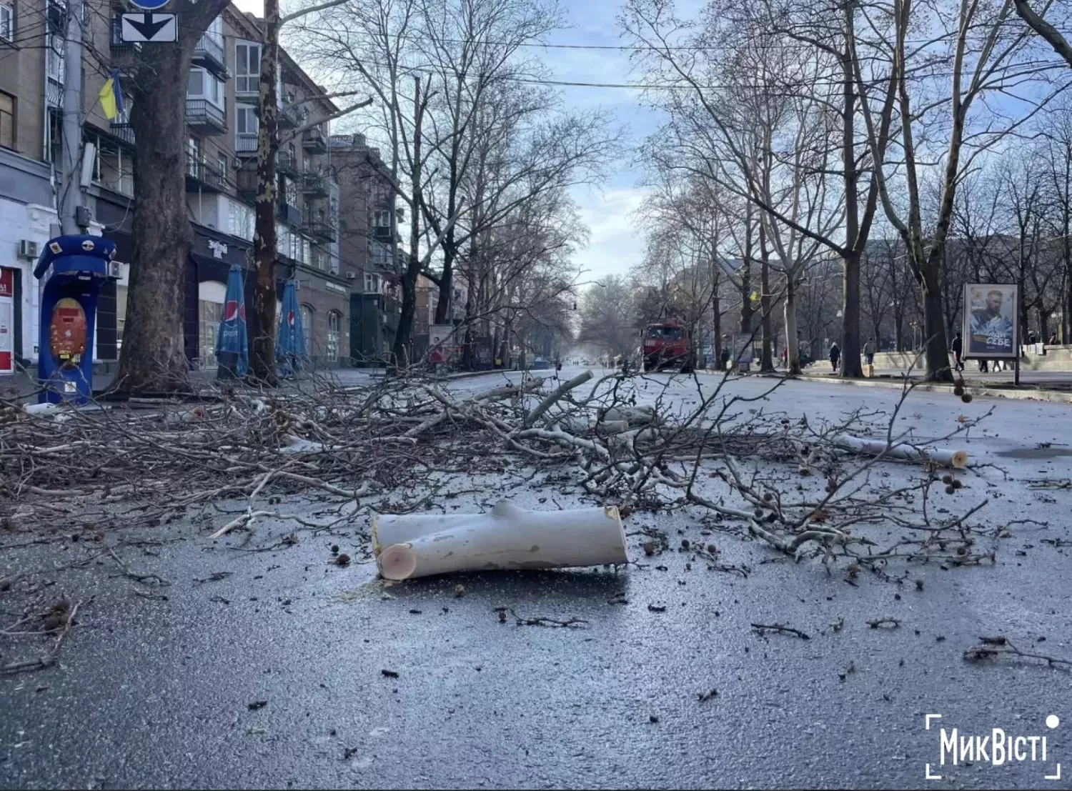 Працівники «Миколаївських парків» обрізали платани по вулиці Соборній, фото: «НикВести»
