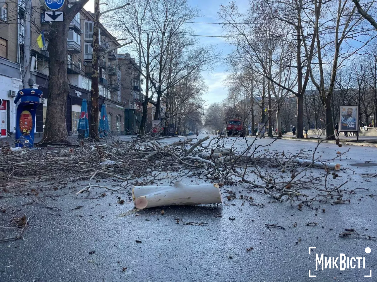 Працівники «Миколаївських парків» обрізають платани по вулиці Соборній. Фото: 