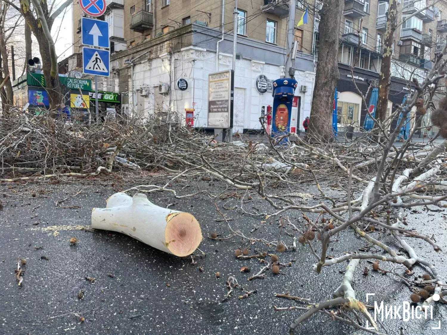 Працівники «Миколаївських парків» обрізають платани по вулиці Соборній. Фото: 