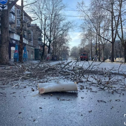 «Миколаївські парки» обрізали платани по вулиці Соборній. Фото: «МикВісті»