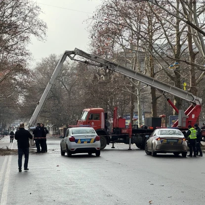 8 січня в Миколаєві поновили скандальну обрізку дерев на Соборній. Фото: «НикВести»