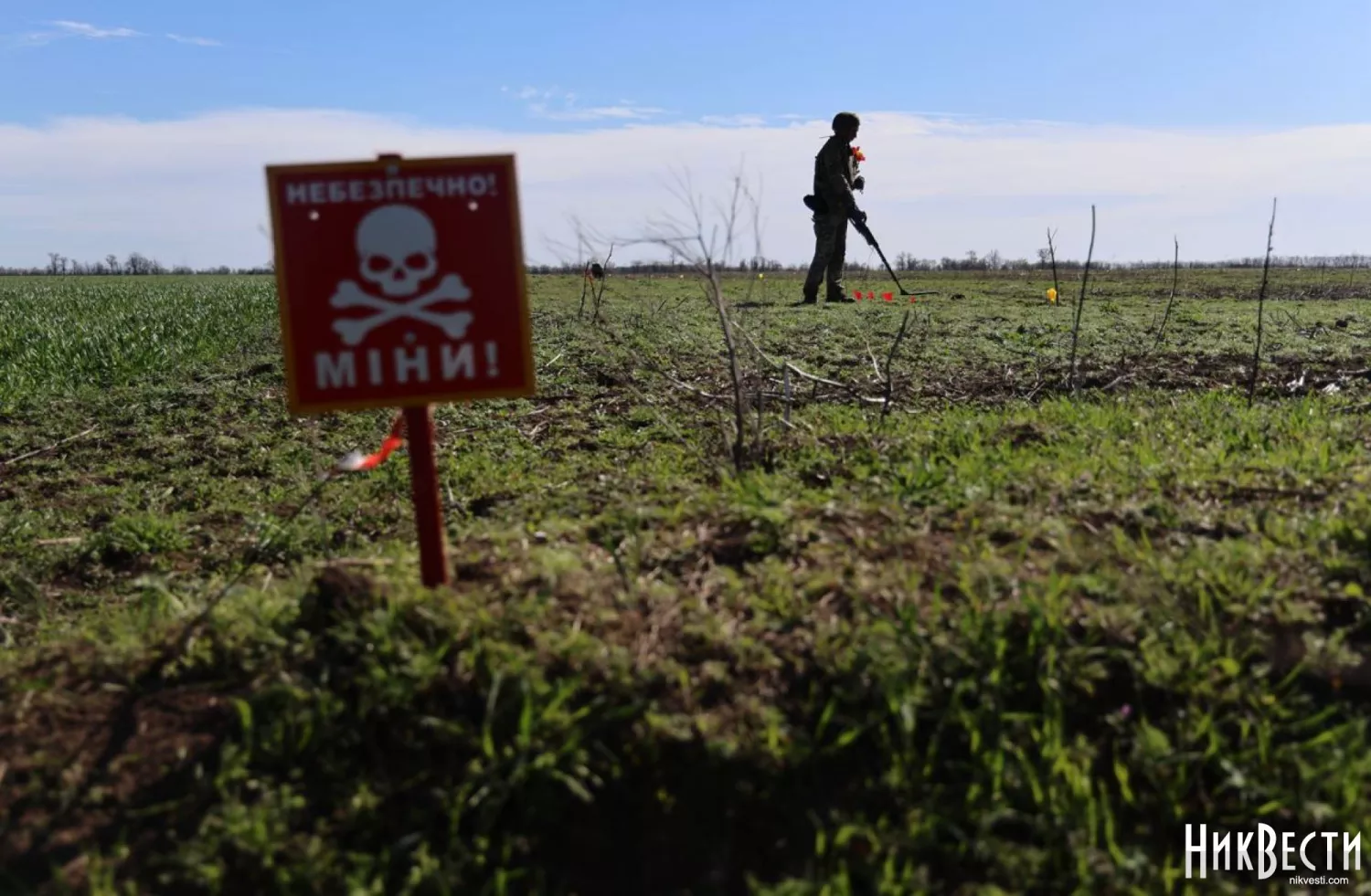 Піротехніки знищили мінометну міну знайдену поблизу села на Миколаївщині, фото: NikVesti