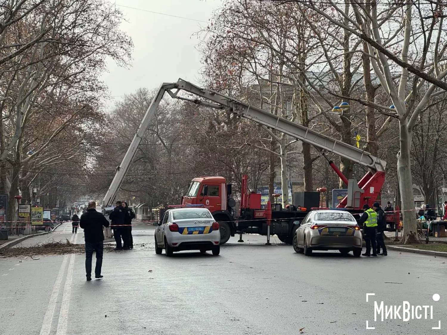 8 січня в Миколаєві поновили скандальну обрізку дерев на Соборній. Фото: «МикВісті»