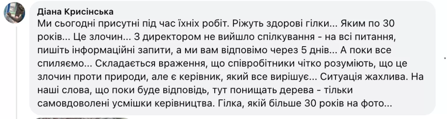 Скриншот коментаря з Facebook Діани Крисинської під публікацією «МикВісті»