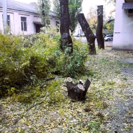 Спиляні дерева акації на 9 Слобідській, фото: Держекоінспекція