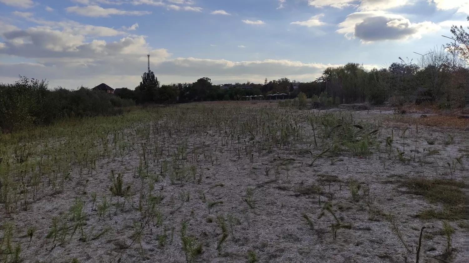 На місці підірваного Каховського водосховища виростають нові екосистеми. Фото: Іван Мойсієнко