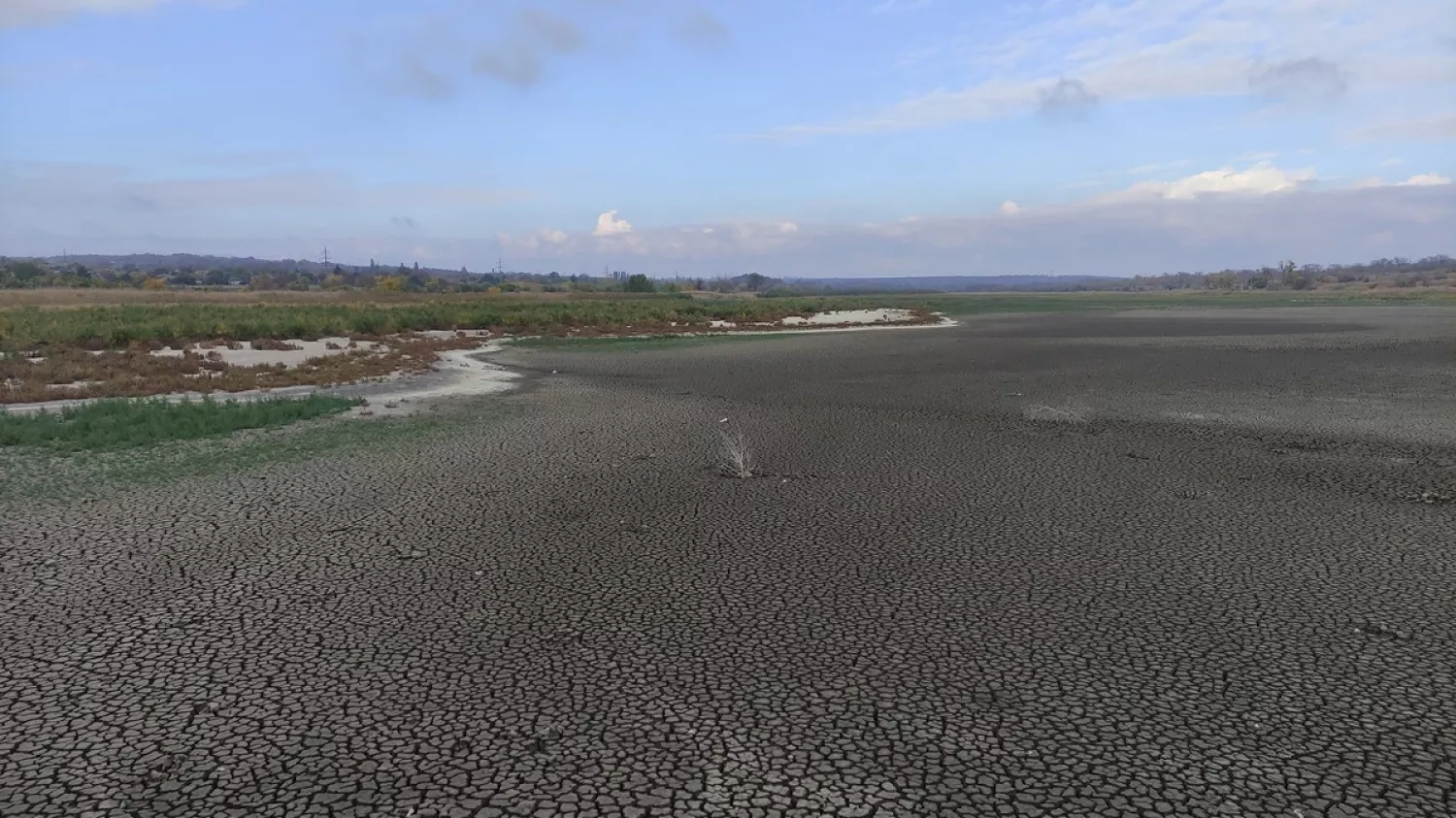 На місці підірваного Каховського водосховища виростають нові екосистеми. Фото: Іван Мойсієнко