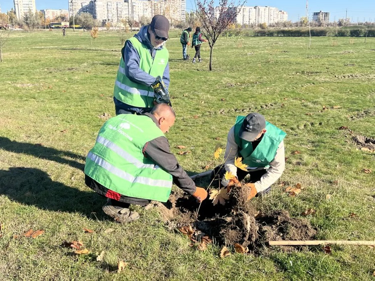 У Херсоні комунальники відновлюють Таврійський парк . Фото: Суспільне Херсон