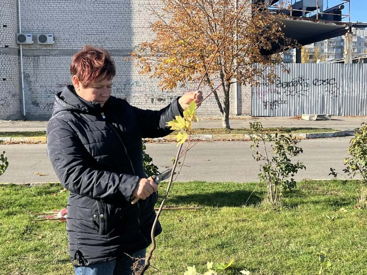 У Херсоні комунальники відновлюють Таврійський парк . Фото: Суспільне Херсон