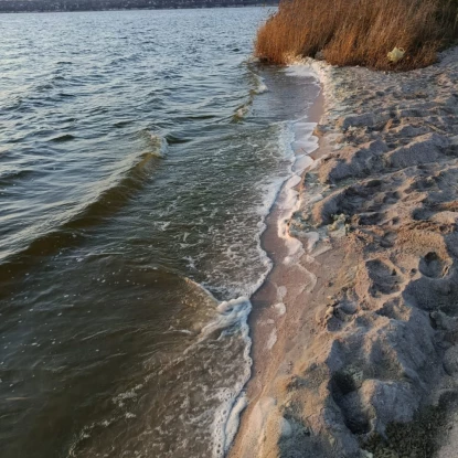 Екологи перевірили воду на Намиві у Миколаєві. Фото: Держекоінспекція