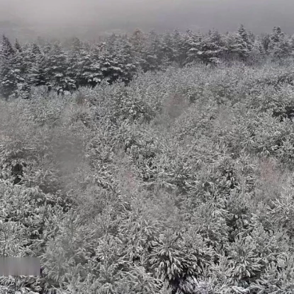 Засніжені пейзажі на Львівщині. Листопад, 2025 року. Фото: Держприкордонслужба