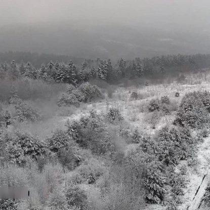 Засніжені пейзажі на Львівщині. Листопад, 2025 року. Фото: Держприкордонслужба