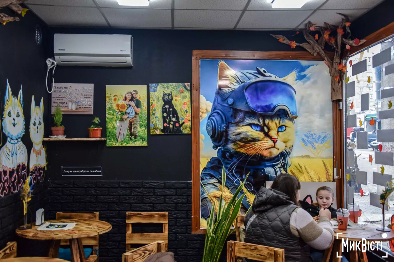 Інтер’єр кав’ярні «Кіт Микита» з тематичними зображеннями та фотографіями. Фото: МикВісті
