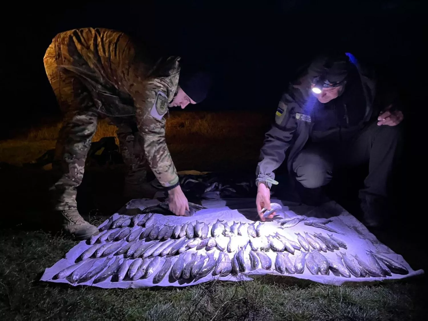 На Миколаївщині затримали браконьєра: збитки оцінили у понад 8 млн грн. Фото: Держекоінспекція