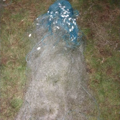 На Миколаївщині затримали браконьєра: збитки оцінили у понад 8 млн грн. Фото: Держекоінспекція