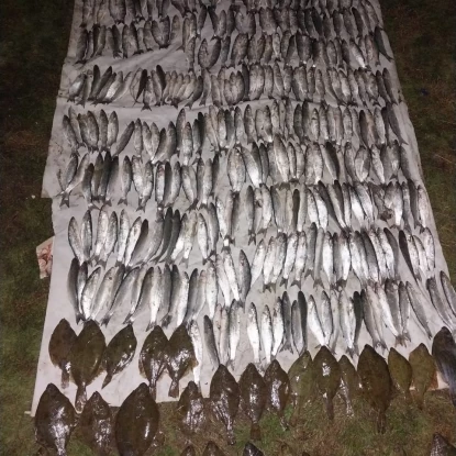 На Миколаївщині затримали браконьєра: збитки оцінили у понад 8 млн грн. Фото: Держекоінспекція