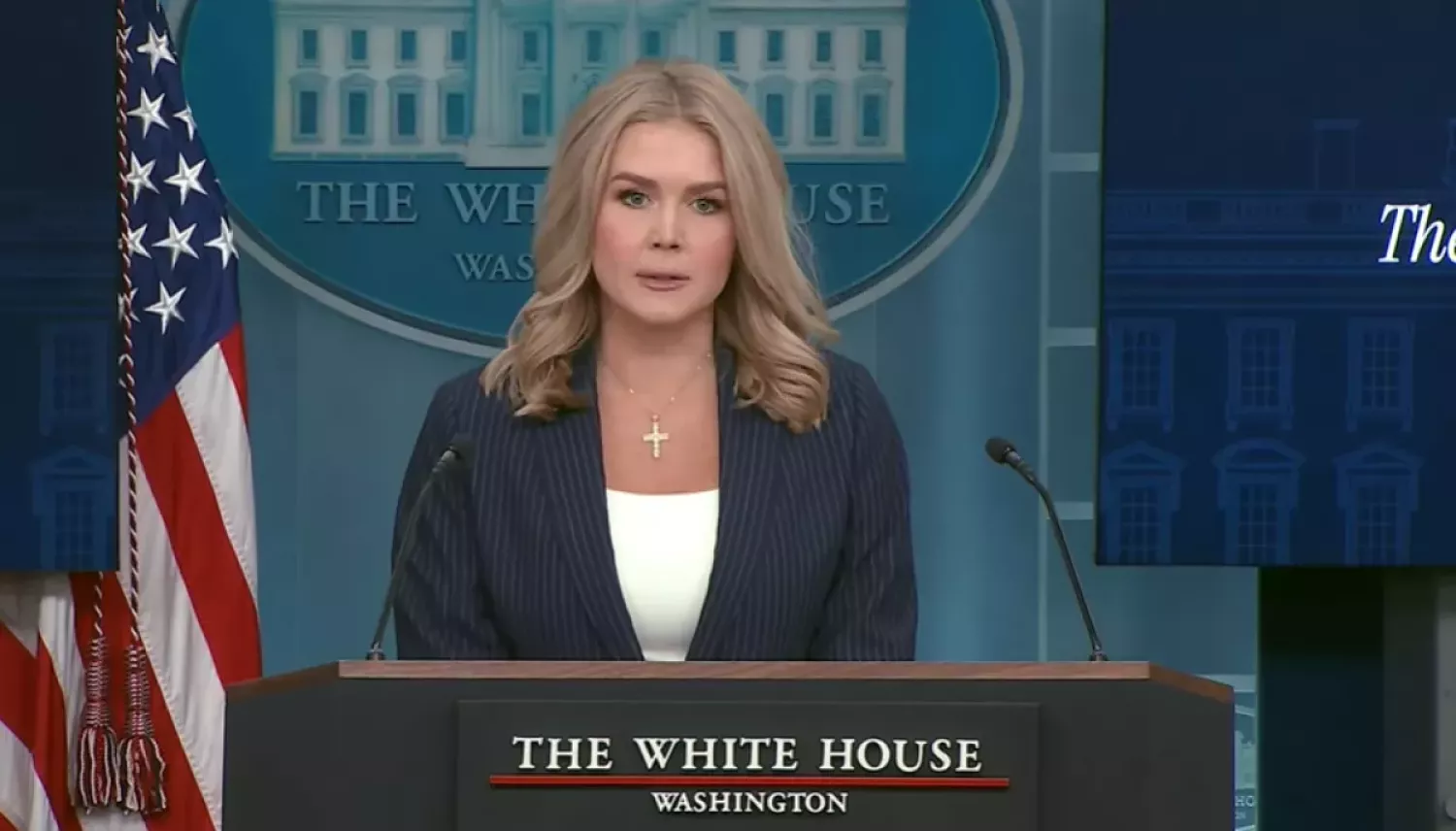 Речниця Білого дому Керолайн Лівітт про «мирний план»: Україна й Росія мають отримати більше, ніж поступитися. Фото: detector.media
