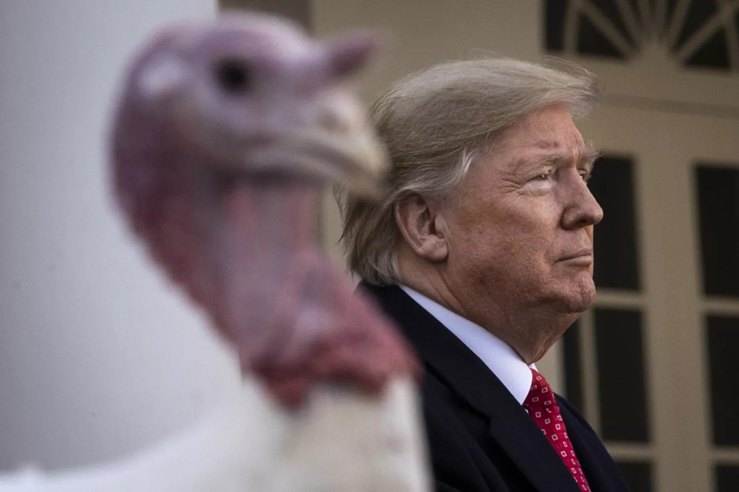 Drew Angerer. Фото: Getty Images