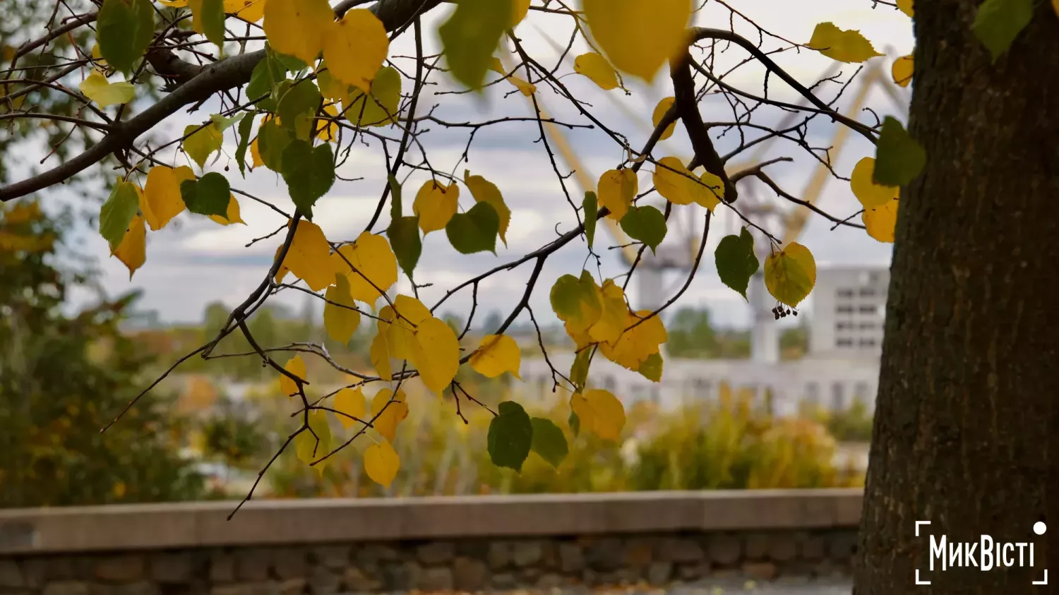 Осінній Миколаїв. Фото: «МикВісті»