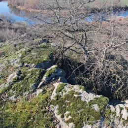 На Миколаївщині знайшли ділянку кам’яного степу з червонокнижними рослинами. Фото: КЕКЦ