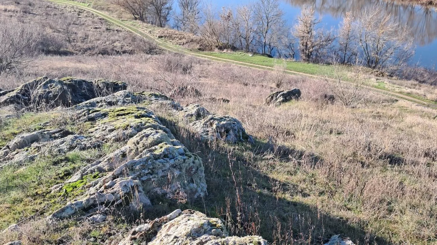 На Миколаївщині знайшли ділянку кам’яного степу з червонокнижними рослинами. Фото: КЕКЦ