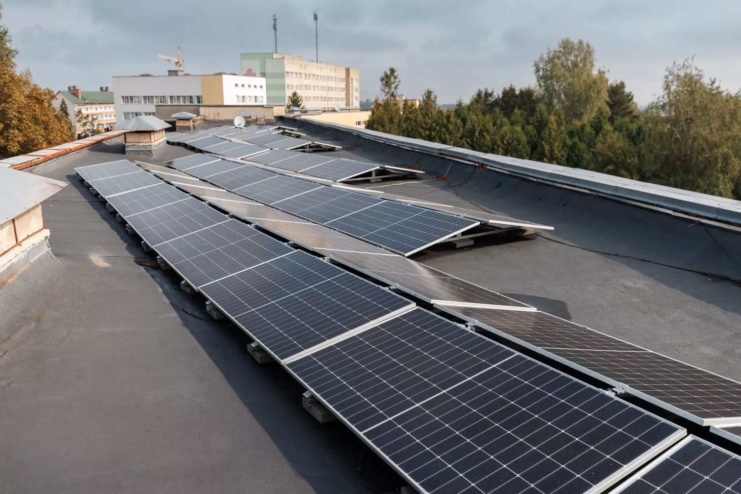 Фото: ПРООН в Україні