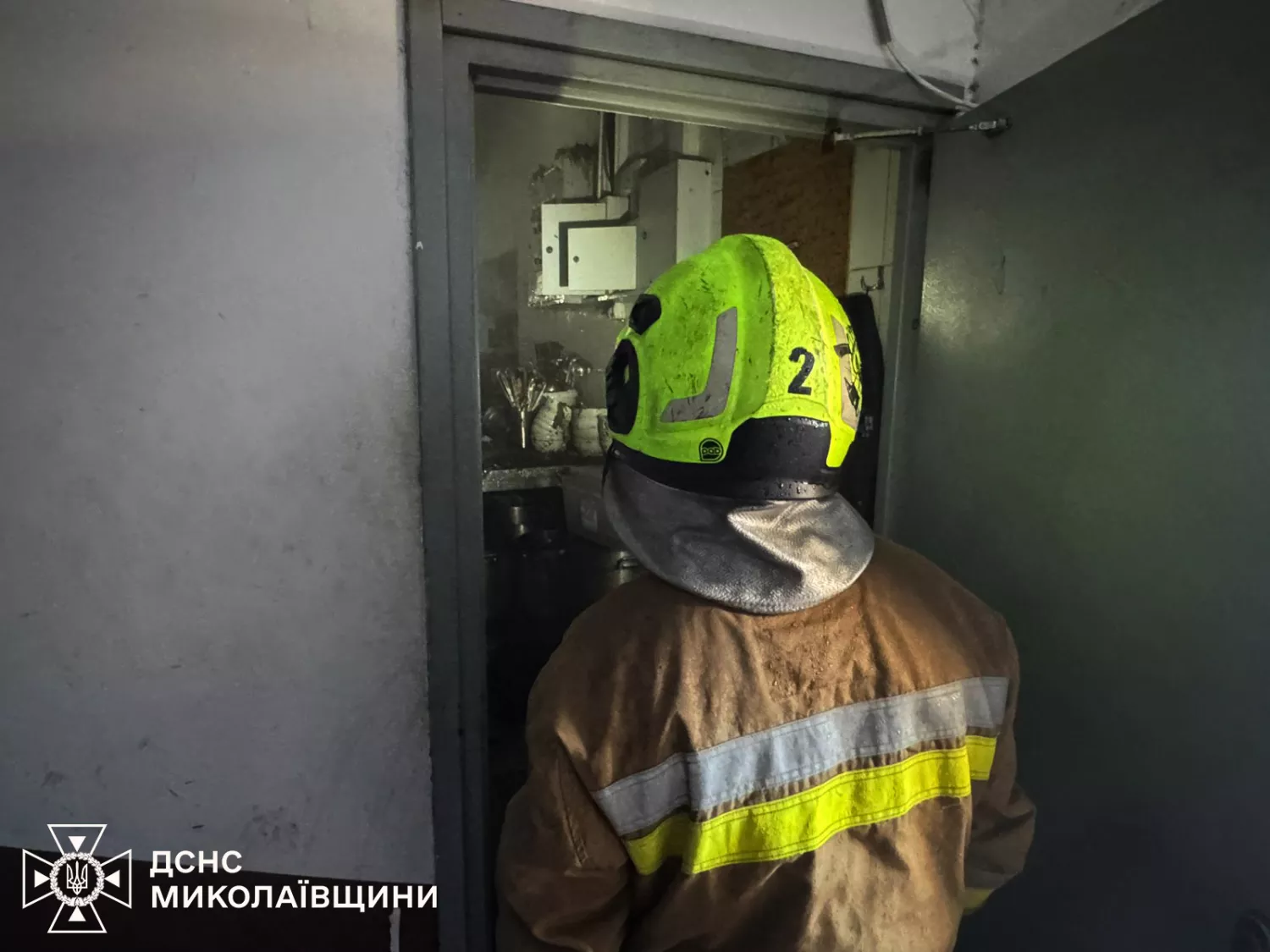 Пожежі у Миколаєві та області 2 листопада. Фото: ДСНС