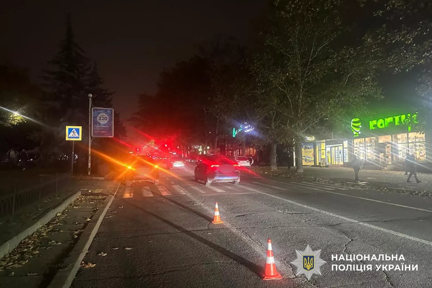 У Миколаєві водій легковика збив пішохода. Фото: Нацполіція