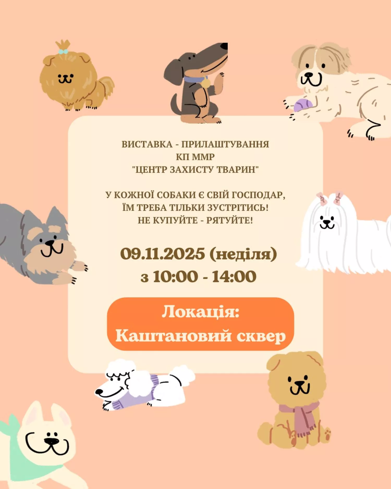 Миколаївців запрошують 9 листопада на виставку-прилаштування тварин. Фото: КП