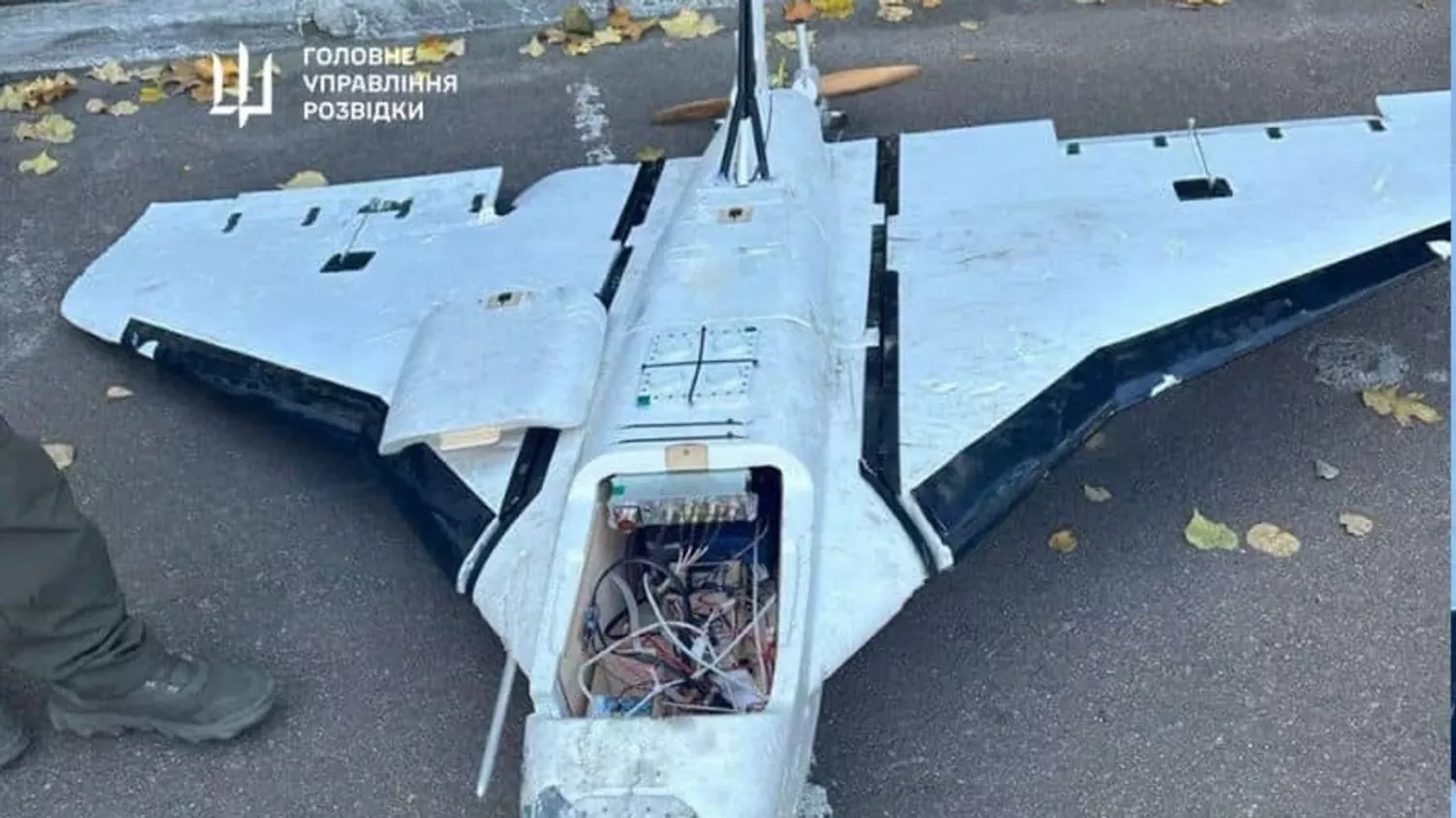 Российский дрон «Гербера»